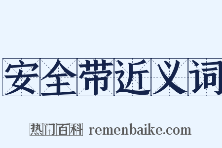 安全带近义词是什么意思的图片